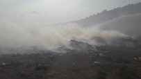 ORMAN ARAZİSİ - Erdek Çöplüğü'ndeki Yangın Ormana Sıçradı