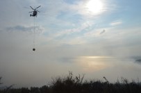 Erdek'teki Orman Yangını Kontrol Altına Alındı