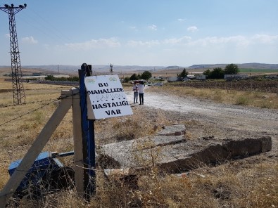 Şarbon Hastalığı Olan Çiftlikte Üst Düzey Önlem Alındı