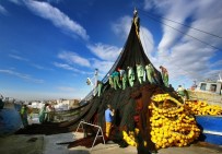 VİRA BİSMİLLAH - Tekirdağ'da Balık Sezonu Başlıyor