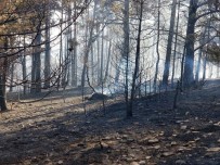 MUSTAFA ALTıNPıNAR - Akdağmadeni'nde Orman Yangını