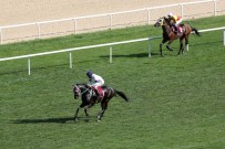 FETHI YAŞAR - Başkanlık Koşusu'nda Kazanan Montana