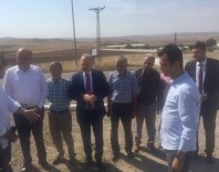 İL TARIM MÜDÜRLÜĞÜ - CHP'li Gök Şarbon Vakasının Yaşandığı Bölgede