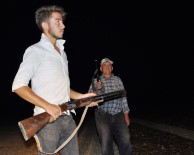 ÇAKAL - Çiftçinin Tüfekli 'Üzüm Nöbeti'