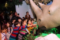 ÖZEL TASARIM - Evrensel Değerler Çocuk Müzesi 23 Bin 494 Çocuk Ağırladı