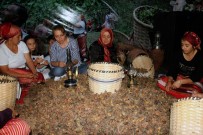 KORAY AVCı - Fındığın Başkentinde Fındık Festivali