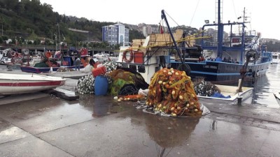 Karadenizli Balıkçılar Yeni Sezondan Umutlu