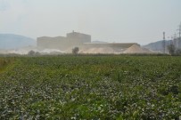 KOCABAŞ - Söke Ovası'nda Toz Tehdidi