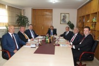 ROMANYA - Trakya Birlik Yönetim Kurulu Üyesi Yılmaz Açıklaması 'Yüksek Yağ Oranlı Ayçiçeğine Prim Uygulanacak'