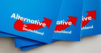ALTERNATİF PARTİ - Almanya'da Irkçı Parti Afd Rekor Kırdı