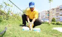 ÖZLEM ÇERÇIOĞLU - Aydın Büyükşehir Belediyesi Sokak Hayvanlarına Sahip Çıkıyor