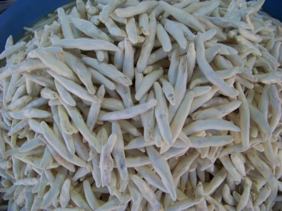 Darende'den 'Kenger Sakızı Tescillensin' Çağrısı