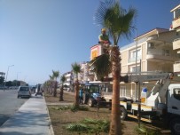 ALTıNKUM - Didim'deki Yeşil Alanlarda Çalışmalar Devam Ediyor