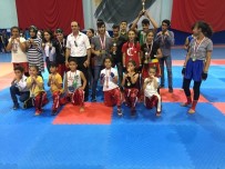 BOKS - Dilovası Belediye Spor Okulları Başarıya Doymuyor