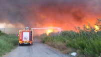 ALTıNKUM - Edremit'te Sazlık Yangını Korkuttu