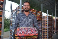 DIAMOND - Korkuteli, Rusya Ve Dubai'ye Erik İle Armut İhraç Ediyor