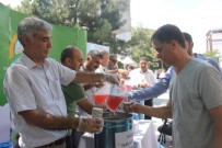 KATKI MADDESİ - Sağlıklı İçecek Hoşaf