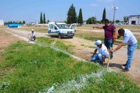 KURBAN PAZARI - Torbalı'da 52 Dönümlük Kurban Pazarı