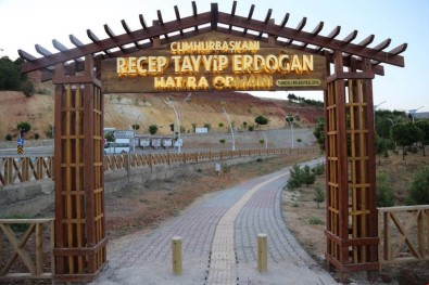 Tunceli'de Cumhurbaşkanı Erdoğan Hatıra Ormanı Yenilendi