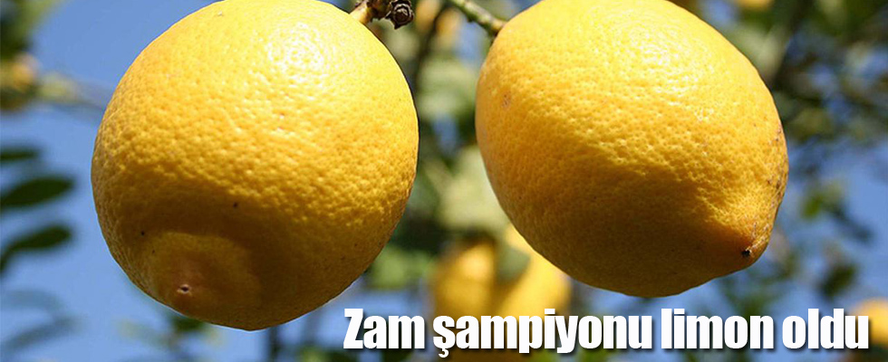 Zam şampiyonu limon oldu