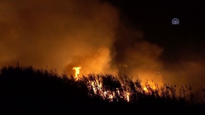 Balıkesir'de Sazlık Yangını