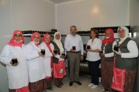 KARAHıDıR - Başkan Çelik, Kadın Çiftçiler Ekolojik Eğitim Ve Üretim Merkezi'ni Ziyaret Etti