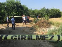 Adana'da Portakal Bahçesinde Ceset Bulundu