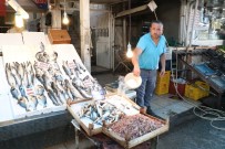 1 EYLÜL - Balıkçılar 1 Eylül'de 'Vira Bismillah' Diyecek