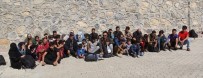 Başkale'de 41 Kaçak Göçmen Yakalandı