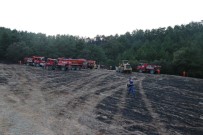 HASAN KESKIN - Bolu'da 2 Hektarlık Orman Arazisi Yangında Zarar Gördü