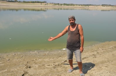 Denizli'de Baraj Göletinde Toplu Balık Ölümleri