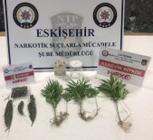 Eskişehir Narkotim Kente Uyuşturucu Sokmaya Çalışan Şahısları Yakaladı
