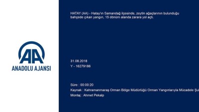 Hatay'da Bahçe Yangını