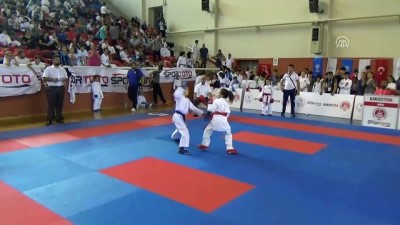 Karadeniz Ve Hazar Ülkeleri Karate Şampiyonası