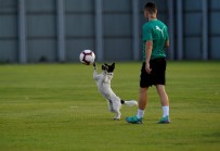 BURSASPOR TEKNIK DIREKTÖRÜ - Samet Aybaba Açıklaması 'Beşiktaş Maçı Zorlu Olacak'