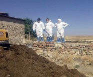 Sivas'ta Şarbon Şüphesi İle Karantina