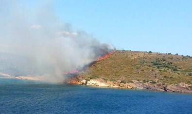 Ayvalık Maden Adasında Orman Yangını Kontrol Altına Alındı