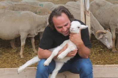 Fransız Koyunuyla Et Verimini 3'E Katlıyacak