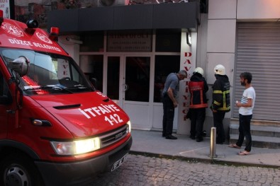 Kediyi Bulmak İçin Cep Telefonundan Kedi Sesi Açtılar