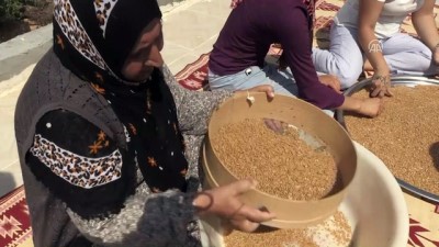 Mezopotamya'nın 'En Eski Buğday Tohumu' Sofrada Yerini Aldı