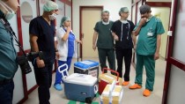 DUMLUPıNAR ÜNIVERSITESI - Organlarıyla Umut Oldu