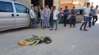 Şanlıurfa'da Yolcu Minibüsünün Çarptığı Çocuk Öldü