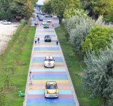 TÜRKIYE OTOMOBIL SPORLARı FEDERASYONU - Yeşil Bursa Rallisi Heyecanı Nilüfer'de Başladı