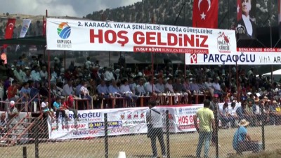 2. Karagöl Yayla Şenlikleri'nde Boğalar Güreşti