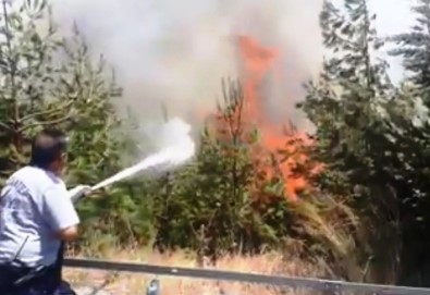 Kahramanmaraş-Gaziantep Sınırında Çıkan Çifte Orman Yangını Korkuttu