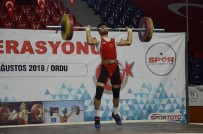 BAŞPEHLİVAN - Ordu'daki Halter Şampiyonası Sona Erdi