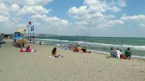MÜREFTE - Tekirdağ'ın Mavi Bayraklı Plajlarında Yoğunluk