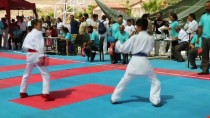 Uluslararası Haldun Alagaş Karate Turnuvası