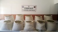 ÖZEL BİRLİK - Diyarbakır'da 284 Kilo Esrar Ve 2 Bin Kök Kenevir Ele Geçirildi