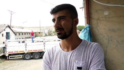 Kurbanlıklar Yola Koyuldu